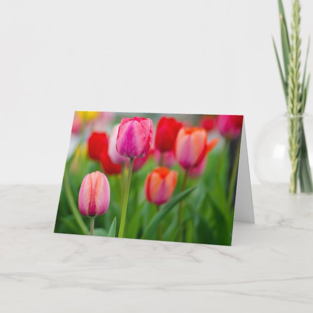 Tulips Card (Front)