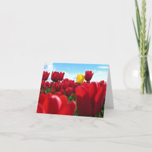 Tulips Card