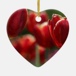 Tulips Ceramic Tree Decoration