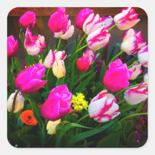 Tulips Christmas Dream and Affaire #1-1 Stickers