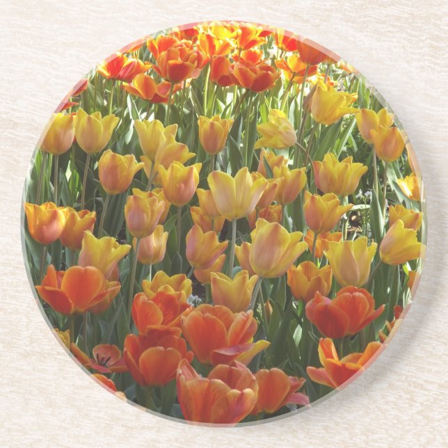 Tulips coasters (Front)