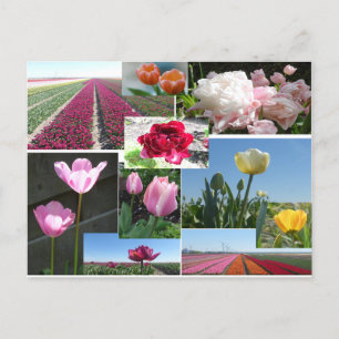 Tulips Collage DIY Postcard