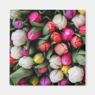 Tulips Colourful Flowers Easter Spring Magnet
