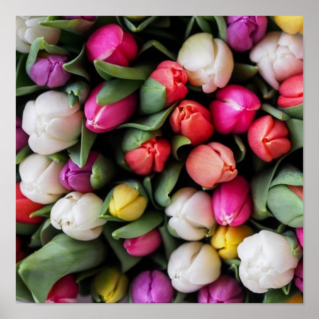 Tulips Colourful Flowers Easter Spring Poster (Front)