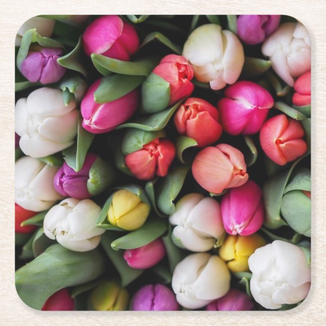 Tulips Colourful Flowers Easter Spring Square Paper Coaster (Front)