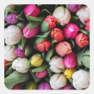 Tulips Colourful Flowers Easter Spring Square Sticker