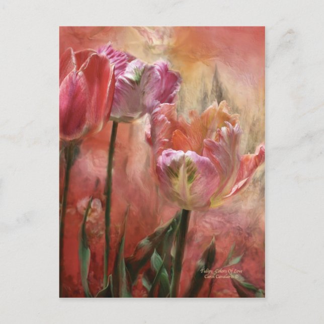 Tulips Colours Of Love Art Postcard (Front)