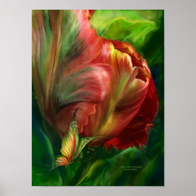 Tulips-Colours Of Paradise Poster (Front)