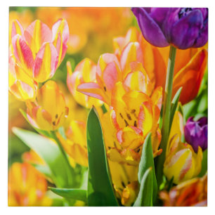 Tulips Enchanting 01 Tile
