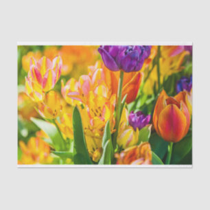 Tulips Enchanting 01 Tissue Paper