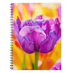 Tulips Enchanting 06 Notebook
