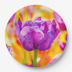 Tulips Enchanting 06 Paper Plate