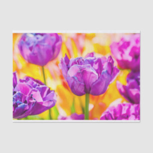 Tulips Enchanting 06 Tissue Paper
