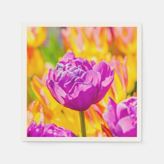Tulips Enchanting 12 Napkin (Front)