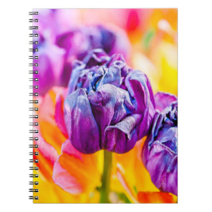 Tulips Enchanting 14 Notebook
