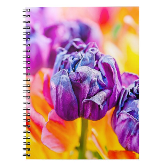 Tulips Enchanting 14 Notebook (Front)