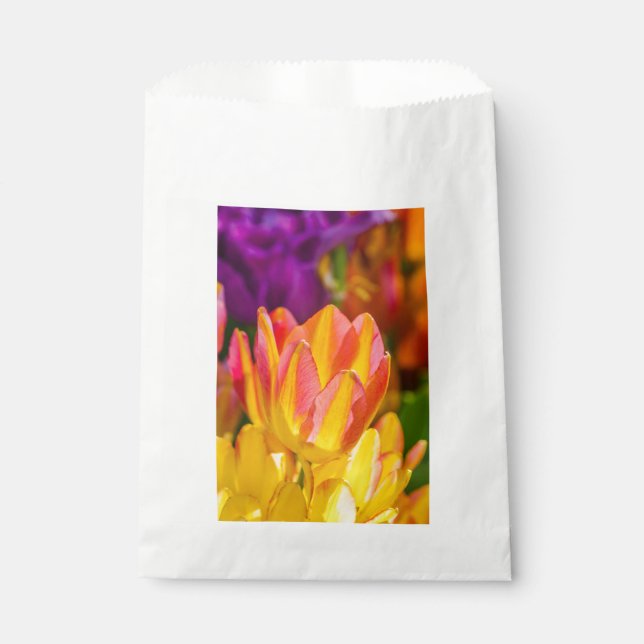 Tulips Enchanting 16 Favour Bags (Front)
