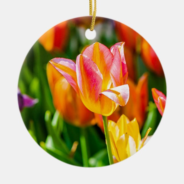 Tulips Enchanting 17 Ceramic Tree Decoration (Front)