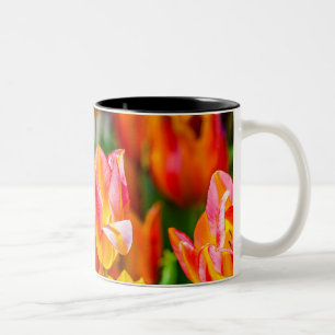 Tulips Enchanting 17 Two-Tone Coffee Mug