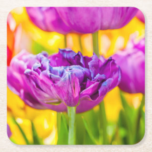 Tulips Enchanting Dark Pink Square Paper Coaster
