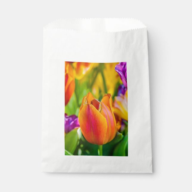 Tulips Enchanting Favour Bags (Front)