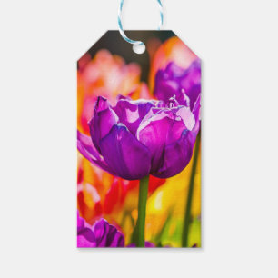 Tulips Enchanting Purple Gift Tags