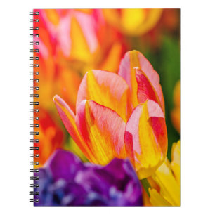 Tulips Enchanting Spiral Notebook