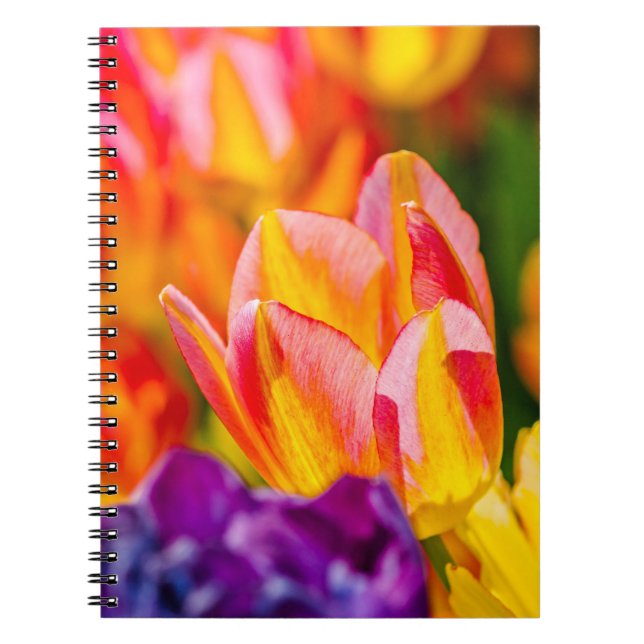 Tulips Enchanting Spiral Notebook (Front)
