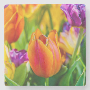 Tulips Enchanting Stone Coaster
