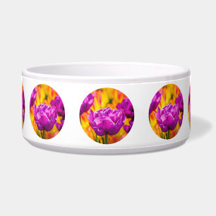 Tulips Enchanting Violet