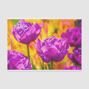 Tulips Enchanting Violet Tissue Paper