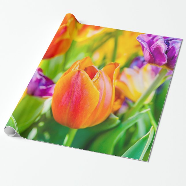 Tulips Enchanting Wrapping Paper (Unrolled)