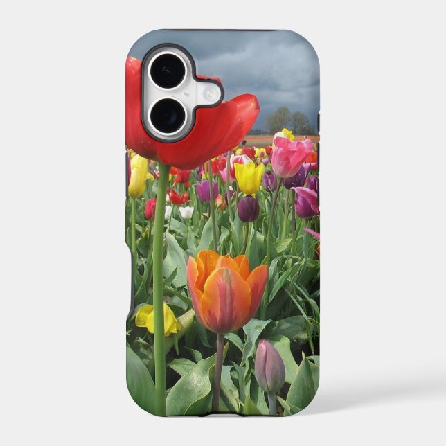 Tulips Field (Back)