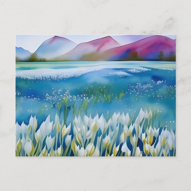 Tulips, flowers, postcard for postcrossing (Front)