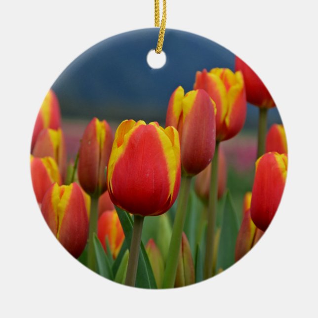 Tulips for Mum Ceramic Tree Decoration (Front)