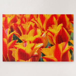 Tulips from Amsterdam. Jigsaw Puzzle