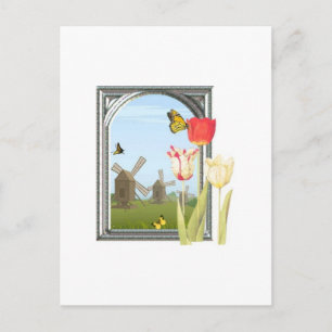 Tulips from Amsterdam Postcard
