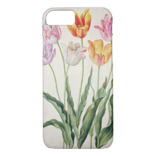 Tulips, from the 'Nassau Florilegium' (w/c on pape Case-Mate iPhone Case