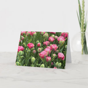 Tulips Galore Blank Greeting Card