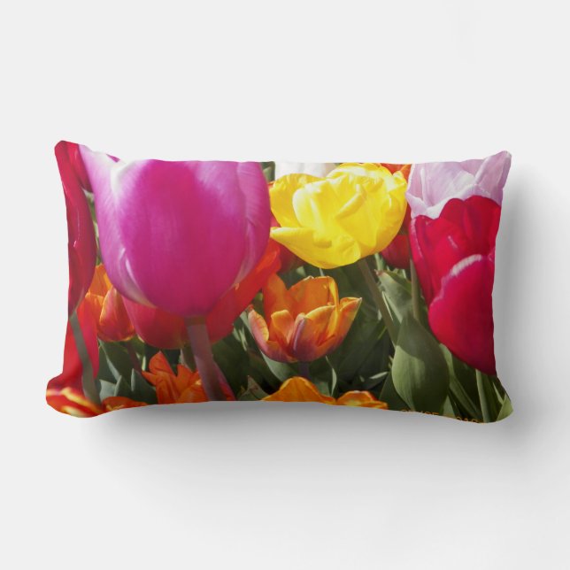 Tulips galore lumbar cushion (Front)