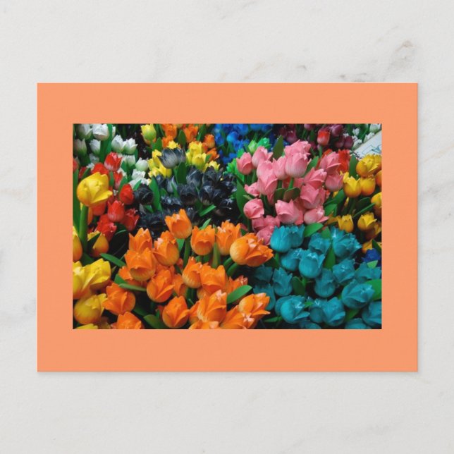 Tulips Galore Postcard (Front)