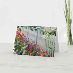 Tulips Garden Along White Picket Fence Photo Card