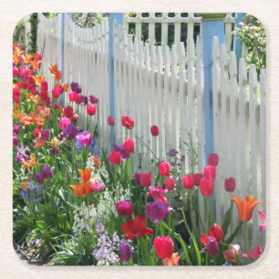 Tulips garden white picket fence square coasters