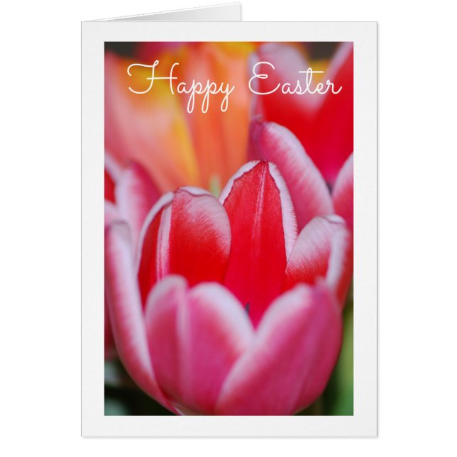 Tulips Greeting Card (Front)
