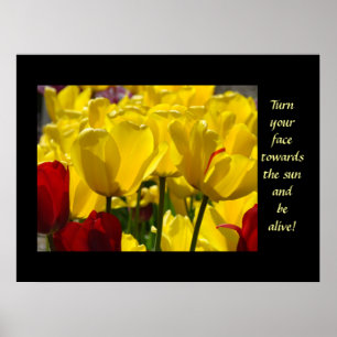 Tulips Healing Touch Turn Your Face Towards Sun Poster