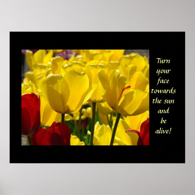 Tulips Healing Touch Turn Your Face Towards Sun Poster (Front)