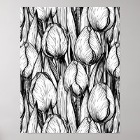 Tulips in black and white