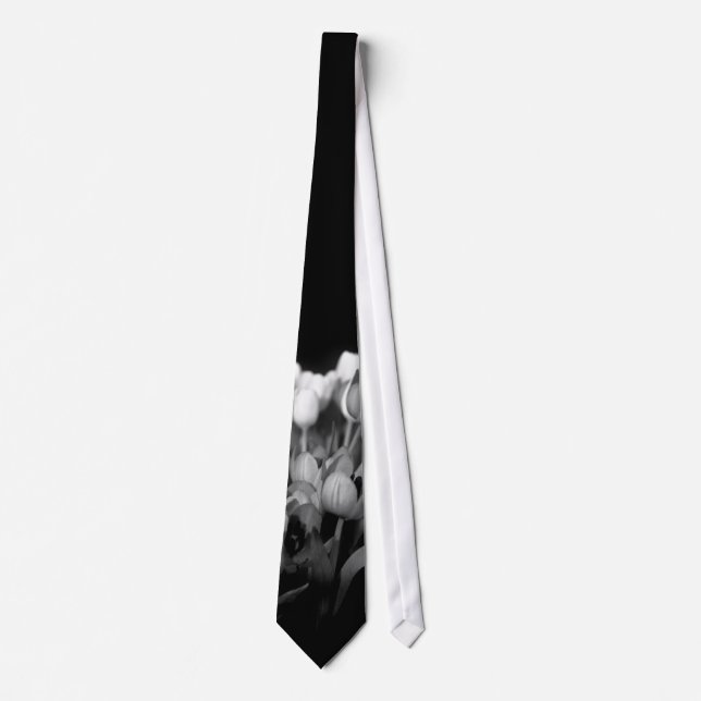 Tulips in Black & White Tie (Front)
