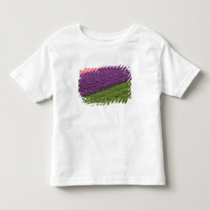 Tulips in Keukenhof Gardens, Amsterdam, 3 Toddler T-Shirt