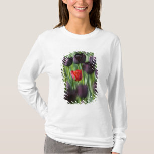 Tulips in Keukenhof Gardens, Amsterdam, T-Shirt
